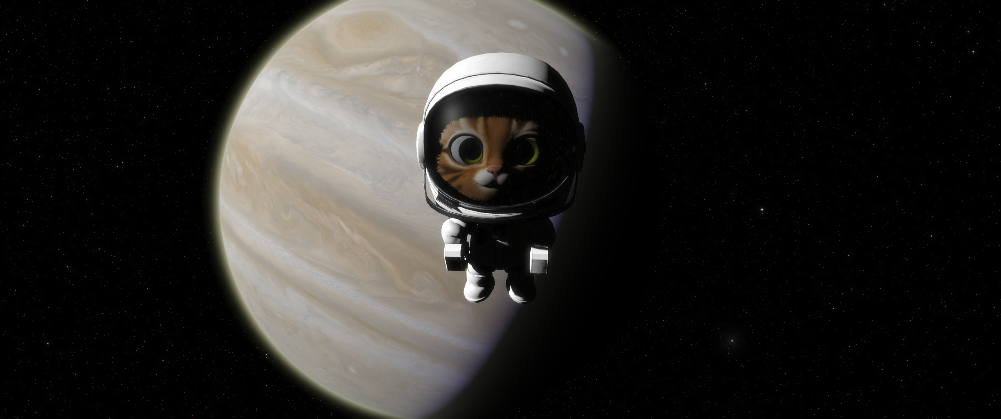 Kitten Space Agency